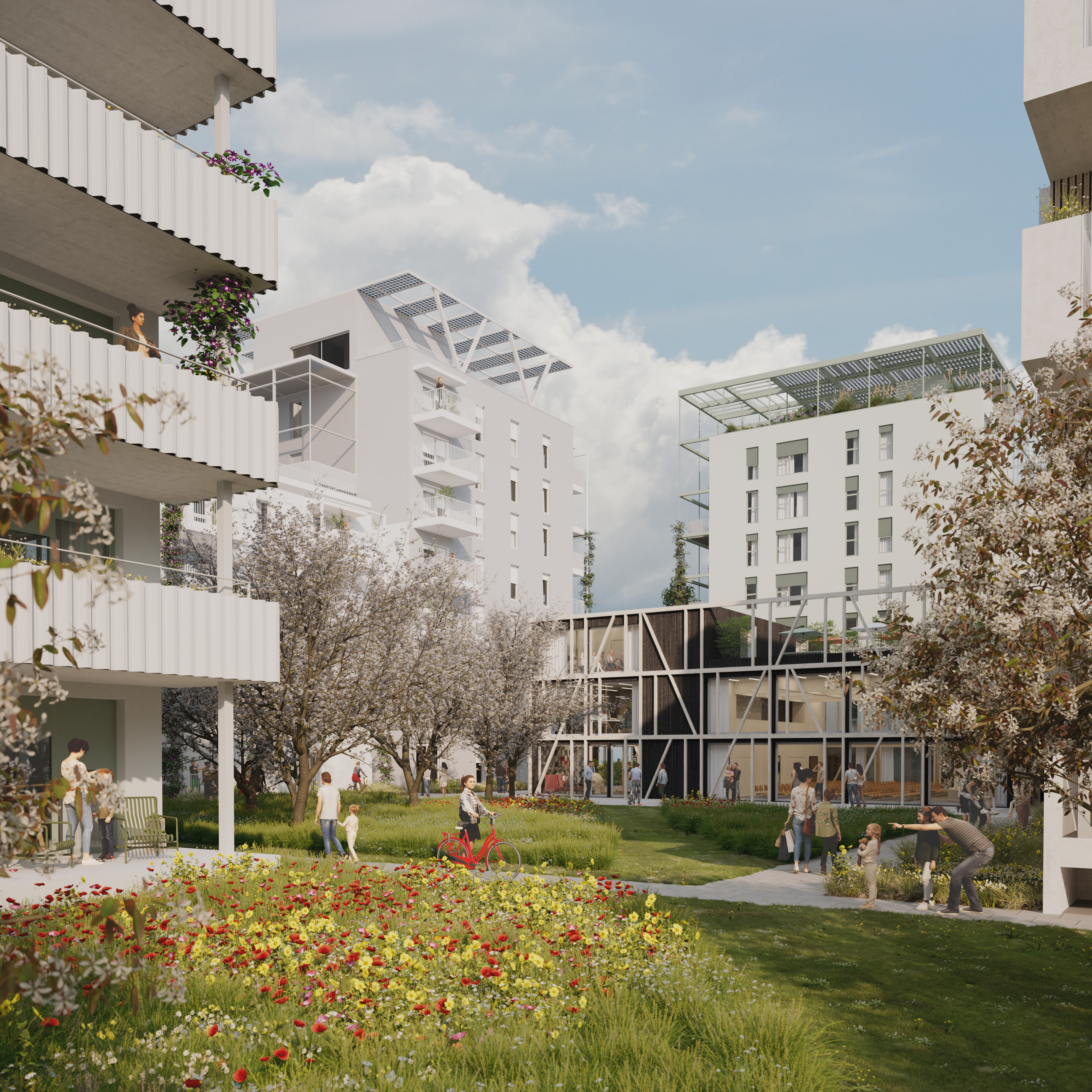 BTW_Meischl_Rendering 4_Phase 2[31][84]